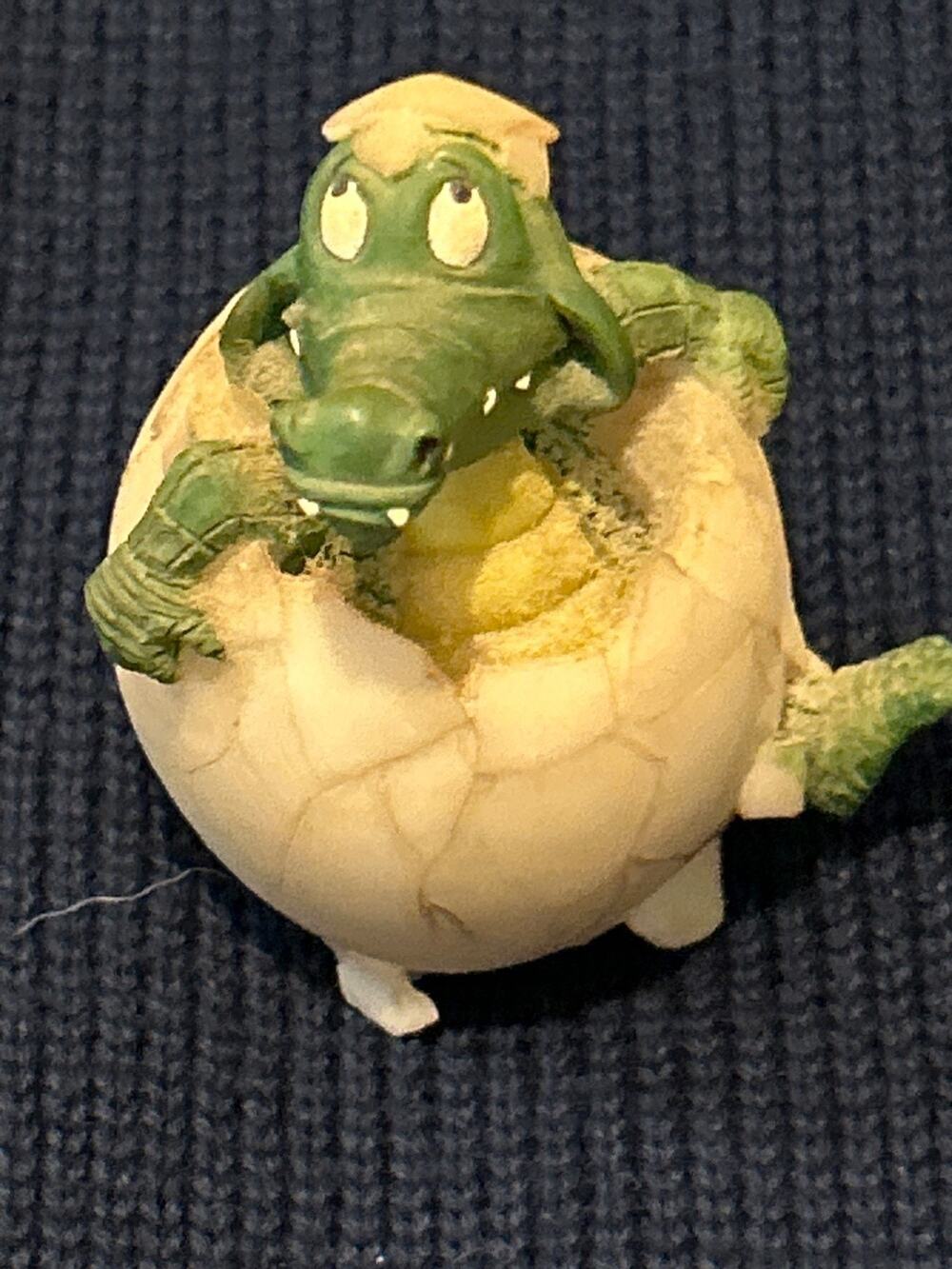 Alligator Hatching From Egg